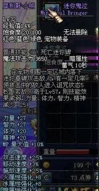 70版本DNF宠物装备与最强宠物盘点解析