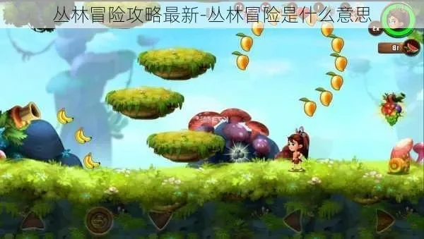 森林奇遇历险记游戏攻略汇总
