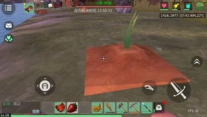《创造与魔法》耕地种植攻略：技巧与建议