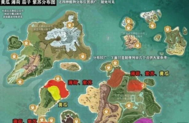《创造与魔法》薄荷攻略：获取方法与料理用途详解
