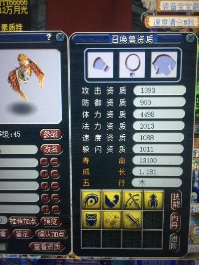 梦幻西游雷音鸟高效攻略：躲避技巧、攻击策略及特殊技能运用