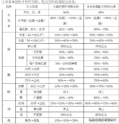 火马专用饲料配方及喂食全攻略